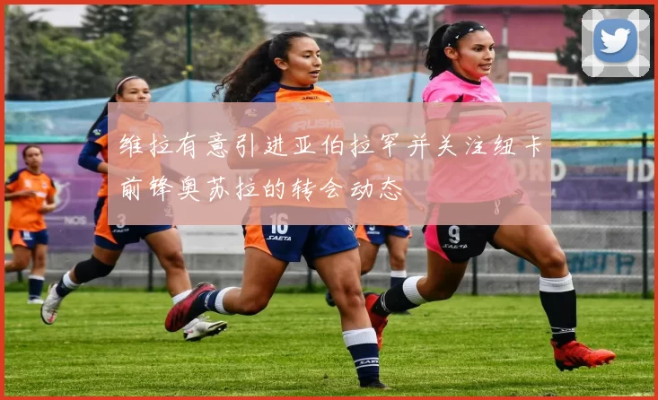 维拉有意引进亚伯拉罕并关注纽卡前锋奥苏拉的转会动态